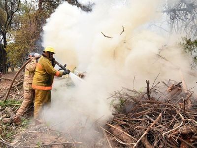 Bomberos controlan principio de incendio en el Jardín Botánico