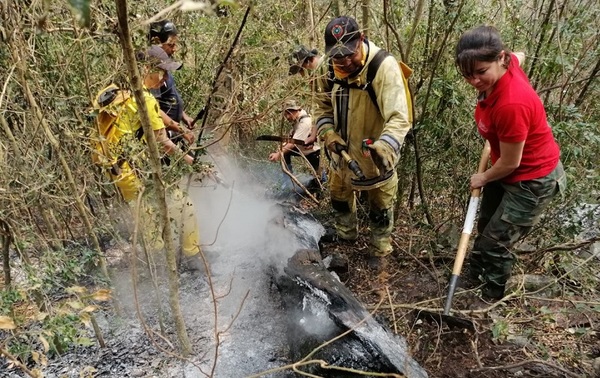 En septiembre se registró más de 53.700 focos de calor