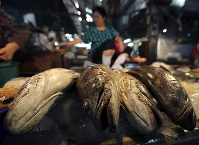 Chile, en «alerta» por megaflota china acusada de dedicarse a pesca ilegal - MarketData