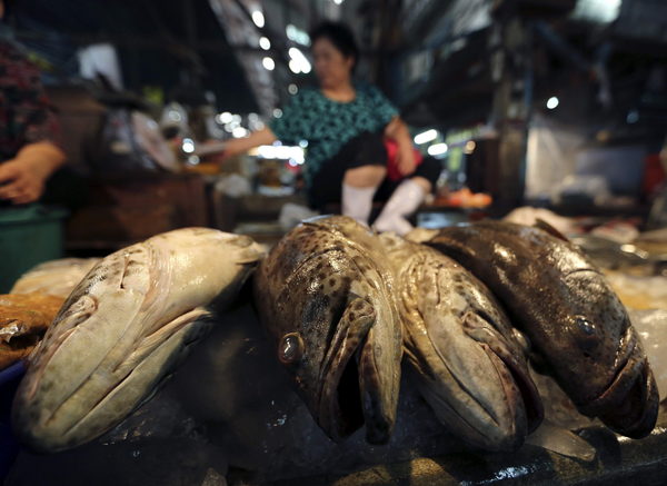 Chile, en «alerta» por megaflota china acusada de dedicarse a pesca ilegal - MarketData