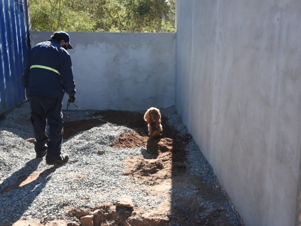 Niña desaparecida: Fiscalía insta a brindar datos y garantiza confidencialidad