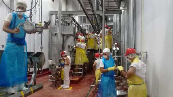 FrigoNorte reinició las faenas con beneficios para trabajadores y ganaderos