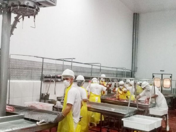 Frigonorte faenará 12.000 animales al mes