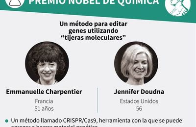 Nobel de Química para dos mujeres por “reescribir el código de la vida” - Mundo - ABC Color