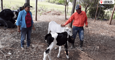Proyectos del MAG, brindan sustento a las familias productoras de Itapúa