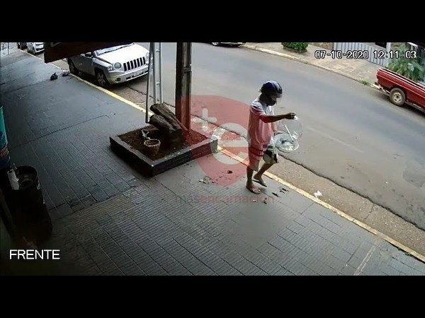 EL COLMO: SE ROBAN HASTA LOS PAJARITOS