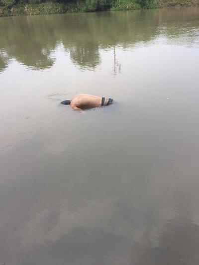 Hallan segundo cadáver desaparecido en el río Monday