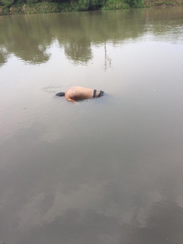 Hallan segundo cadáver desaparecido en el río Monday