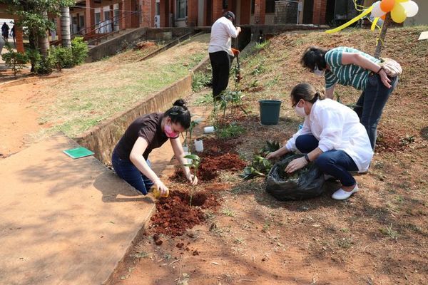 Plantan árboles en Clínicas por semana de la Salud Mental - Nacionales - ABC Color
