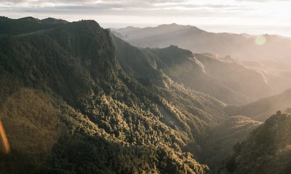 El Parlamento Europeo avala el plan climático