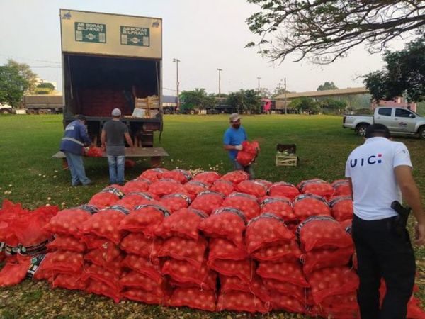 Incautaron verduras y frutas ingresadas del Brasil en Katuete