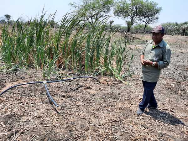 Comunidad indígena del Chaco encuentra agua dulce en plena sequía