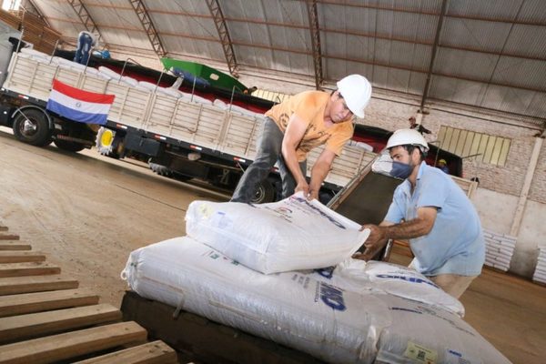 INBIO realizó su primera exportación de semillas Sojapar R24 al mercado boliviano