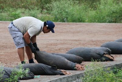 Arranca en Ecuador un proyecto de matriz exportadora de gigante suizo del cacao - MarketData