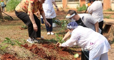 La Nación / Semana de la Salud Mental: plantaron bambúes en jardín de Clínicas