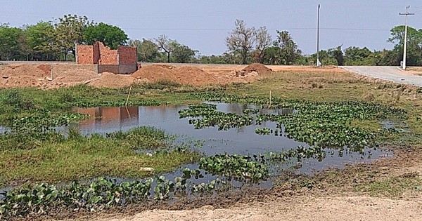 La Nación / Más crímenes ecológicos: inmobiliaria rellena laguna en Pirayú para loteamiento
