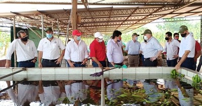 La Nación / Productores de banana recibieron insumos agrícolas