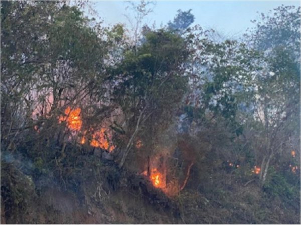 Bolivia decreta desastre nacional por incendios y sequías