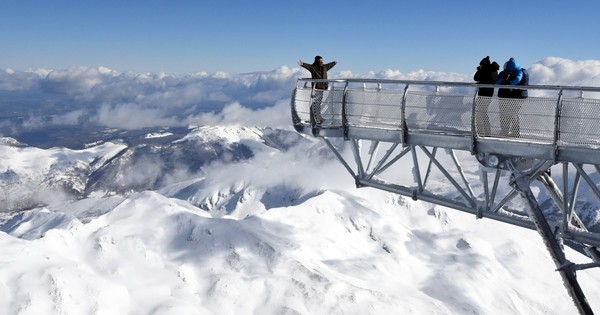 La Nación / EEUU dice que el cambio climático no amenaza al glotón que vive en la nieve