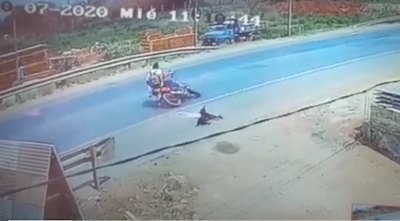 Crónica / ¡Qué tragedia! Firulais causó accidente fatal