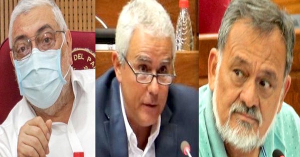 La Nación / Fuerte discusión entre senadores a favor y en contra de ocupaciones