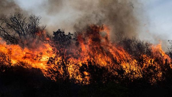 Siguen los masivos incendios en la provincia de Córdoba