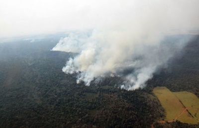 Catástrofe ambiental en Caazapá - Nacionales - ABC Color