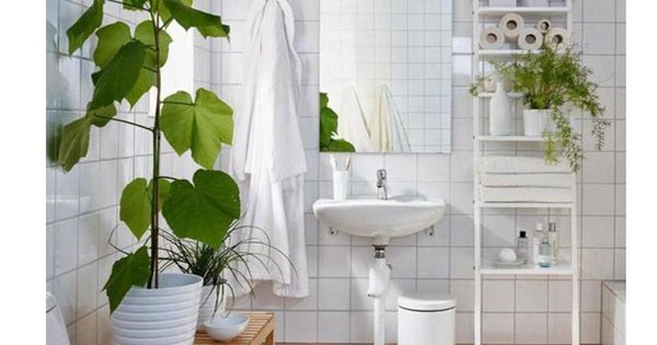 La Nación / Deco natural para el cuarto de baño