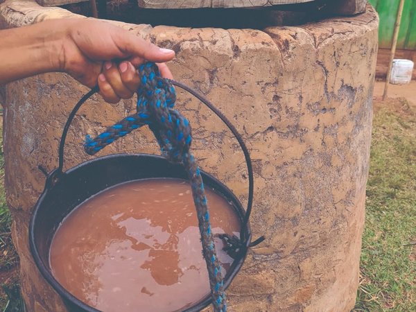 Sequía: salud, cultivos y ganado en peligro