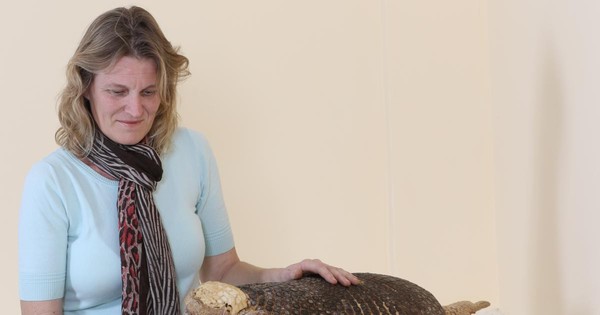 La Nación / Bióloga Andrea Weiler recibe premio por destacado trabajo con mamíferos en Paraguay