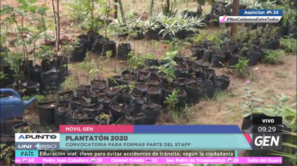 HOY / En el vivero de la Costanera de Asunción, convocan a voluntarios para el Plantatón 2020