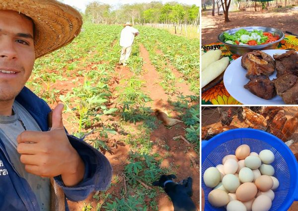 ¡Cocina, animales y naturaleza! Joven del interior muestra su día a día en el campo y es sensación en redes - Megacadena — Últimas Noticias de Paraguay