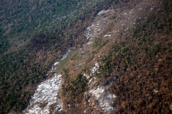 Se registran más de 1.500 focos de calor, y son cien más que ayer