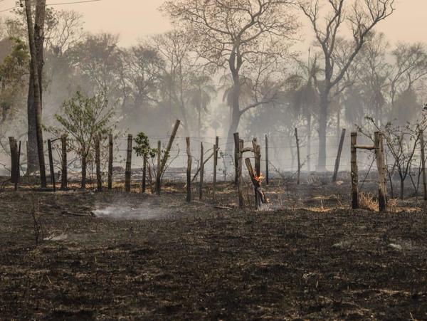 AFD dispone de G. 150.000 millones para productores afectados por los incendios forestales - El Trueno