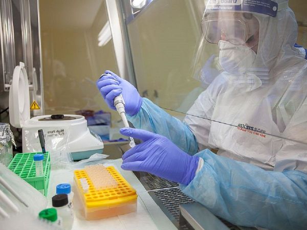 OMS celebra llegada de China a la red Covax para acelerar vacuna anti-Covid