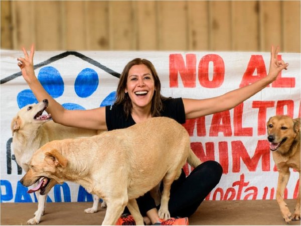 Voluntarios organizan paella solidaria a beneficio de animales rescatados