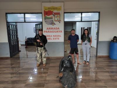 Detienen a pareja de brasileños en el río Paraná - ABC en el Este - ABC Color