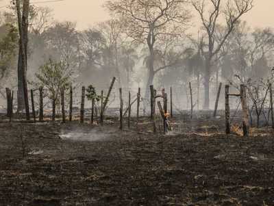 Banca pública ofrece ayuda crediticia por G. 150.000 millones a productores afectados por incendios - MarketData