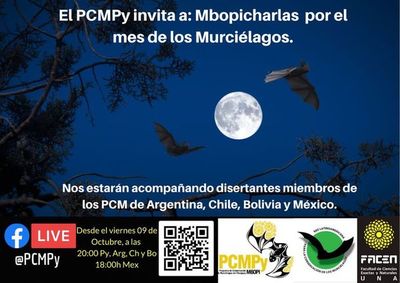 Invitan a las “mbopicharlas” por el mes de los murciélagos - Nacionales - ABC Color