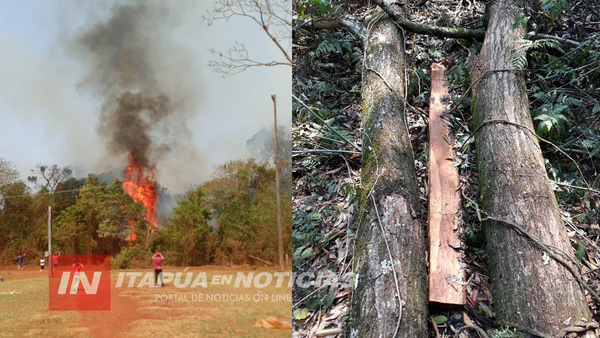 HALLAN CORTES DE MADERA Y ÁRBOLES CAÍDOS, TRAS INCENDIO EN LA RESERVA DEL IPTA