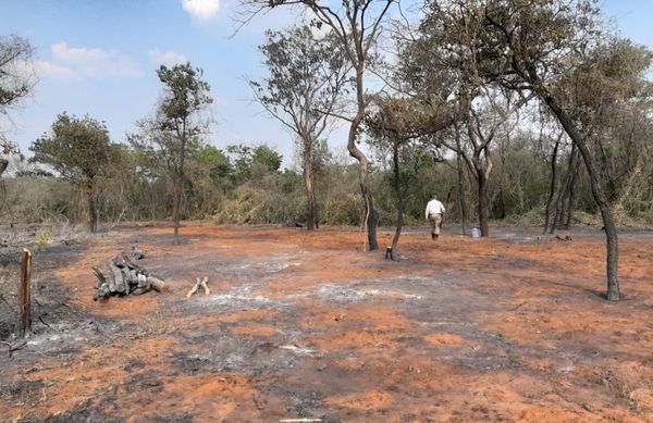 Constatan tala, quema e invasión en parque nacional “Cerro Chovoreca” - Nacionales - ABC Color