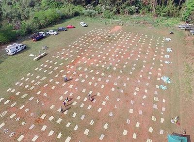 Paraguayo detenido en operativo en Misiones - Nacionales - ABC Color
