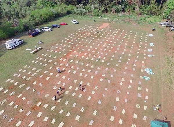 Paraguayo detenido en operativo en Misiones - Nacionales - ABC Color