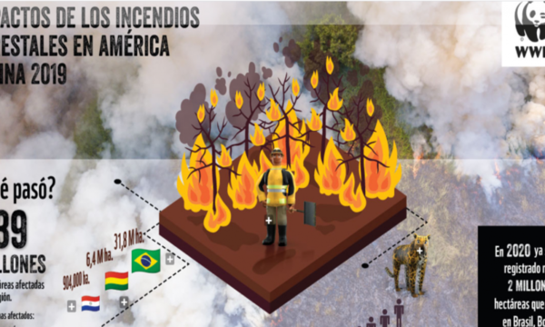 Créditos para productores afectados por incendios