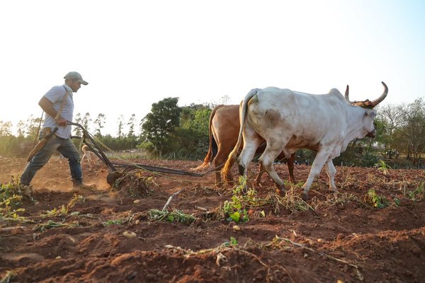 Proyecto “Proeza” presentó plan de trabajo que beneficiará a 17.100 hogares