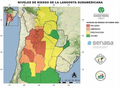Langostas al acecho: trazan mapa de riesgo