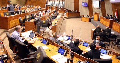 La Nación / Afirman que Celeste Amarilla generará que Diputados se vuelva “una selva”