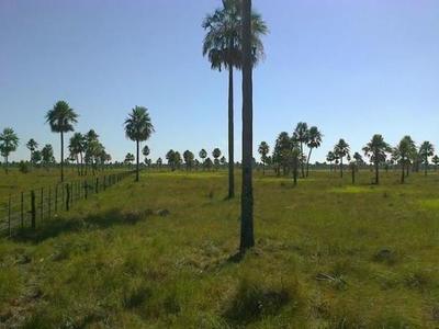 Antiguo poblador chaqueño desmiente al senador Zavala sobre tierras indígenas » Ñanduti