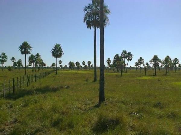 Antiguo poblador chaqueño desmiente al senador Zavala sobre tierras indígenas » Ñanduti