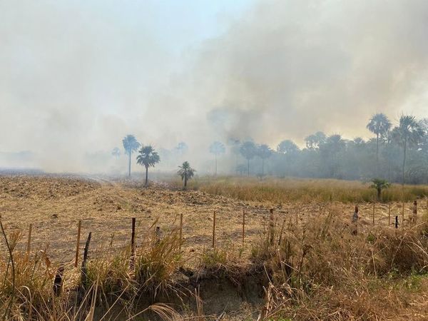 Estanciera de General Bruguez pide auxilio para combatir incendios - Nacionales - ABC Color